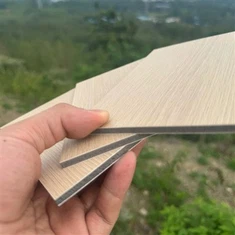 Double Layer Co-extrusion Bamboo Wall Panel